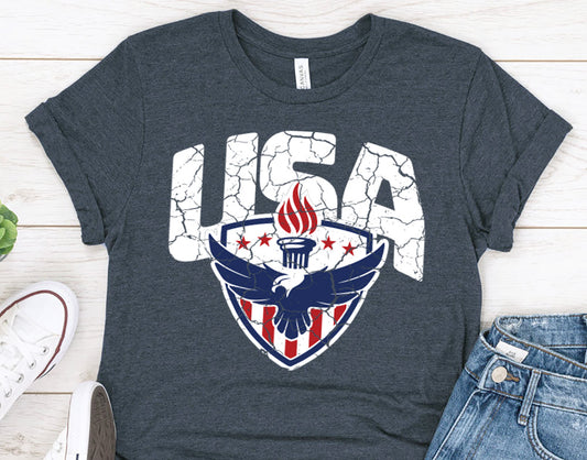 Patriotic USA t-shirt with eagle and American Flag, 4th of July Gift Shirt for Men or Women